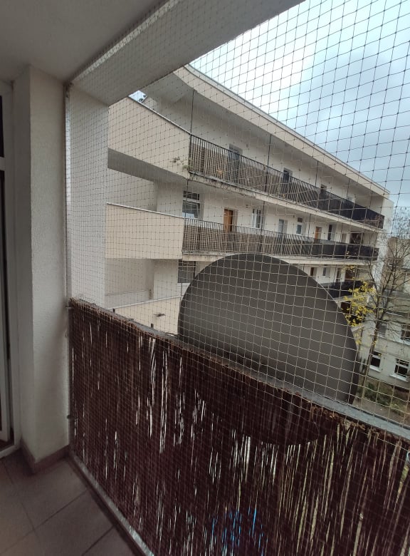 Montaż siatki na balkon i okna dla kotów i przeciwko ptakom Poznań Kocia Misja