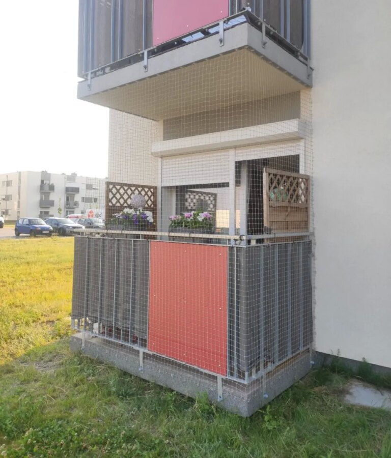 Montaż siatki na balkon i okna dla kotów i przeciwko ptakom Poznań Kocia Misja