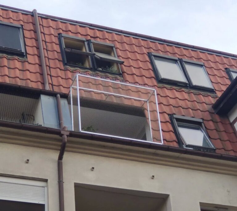 Montaż siatki na balkon i okna dla kotów i przeciwko ptakom Poznań Kocia Misja