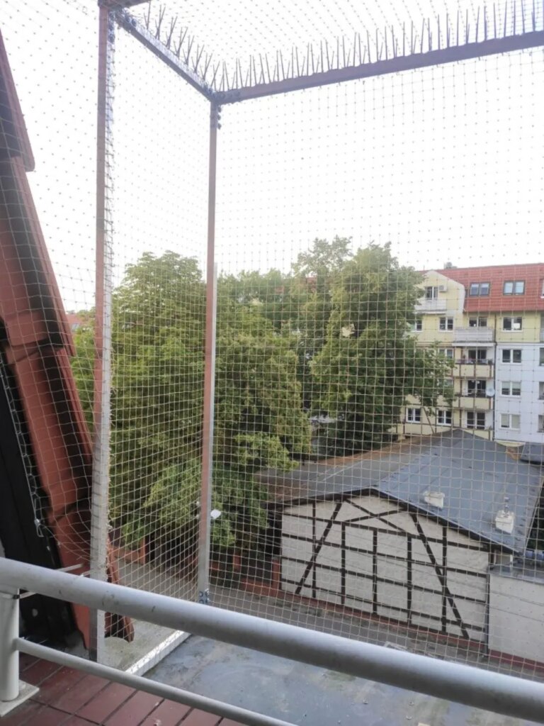 Montaż siatki na balkon i okna dla kotów i przeciwko ptakom Poznań Kocia Misja