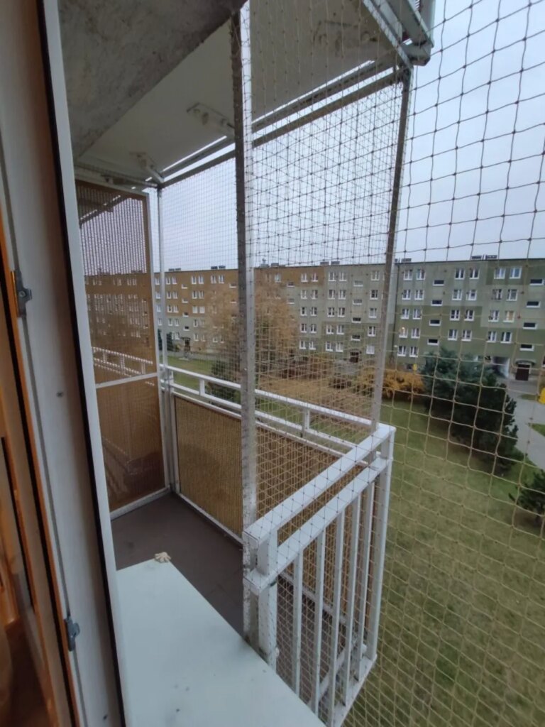 Montaż siatki na balkon i okna dla kotów i przeciwko ptakom Poznań Kocia Misja
