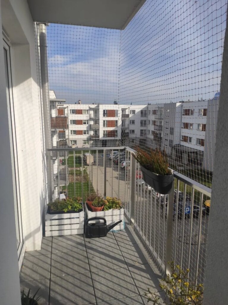 Montaż siatki na balkon i okna dla kotów i przeciwko ptakom Poznań Kocia Misja