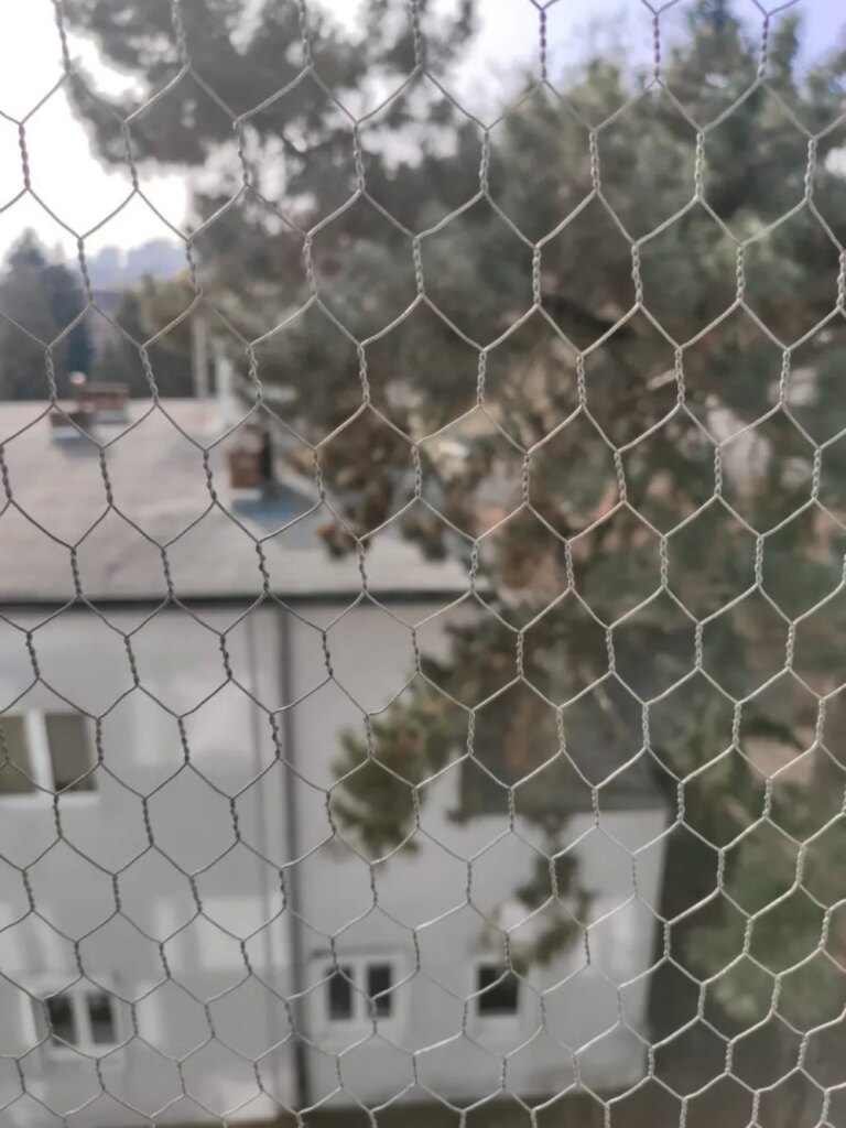 Montaż siatki na balkon i okna dla kotów i przeciwko ptakom Poznań