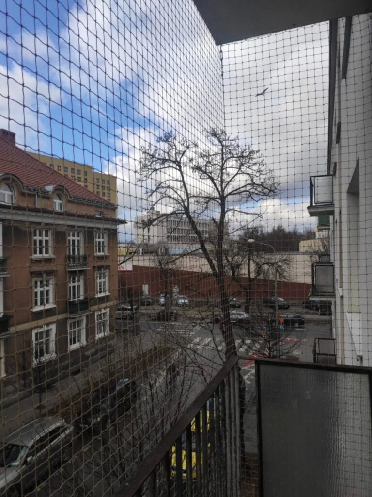 Montaż siatki na balkon i okna dla kotów i przeciwko ptakom Poznań