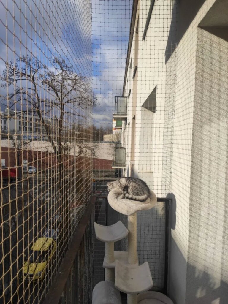 Siatka na balkon i upadki z wysokości. Czy Twój kot ma 9 żyć Kocia Misja
