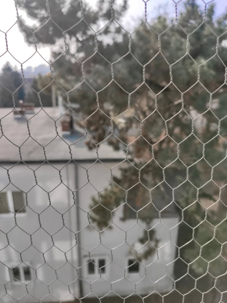 siatka dla kota - metalowa heksagonalna