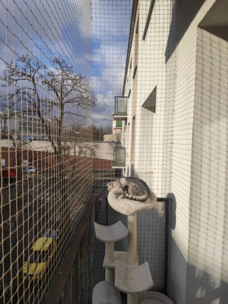 Siatka na balkon i upadki z wysokości. Czy Twój kot ma 9 żyć Kocia Misja