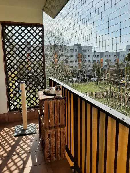 Montaż siatki na balkon dla kota Sopot